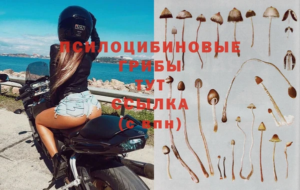 марки lsd Алексеевка