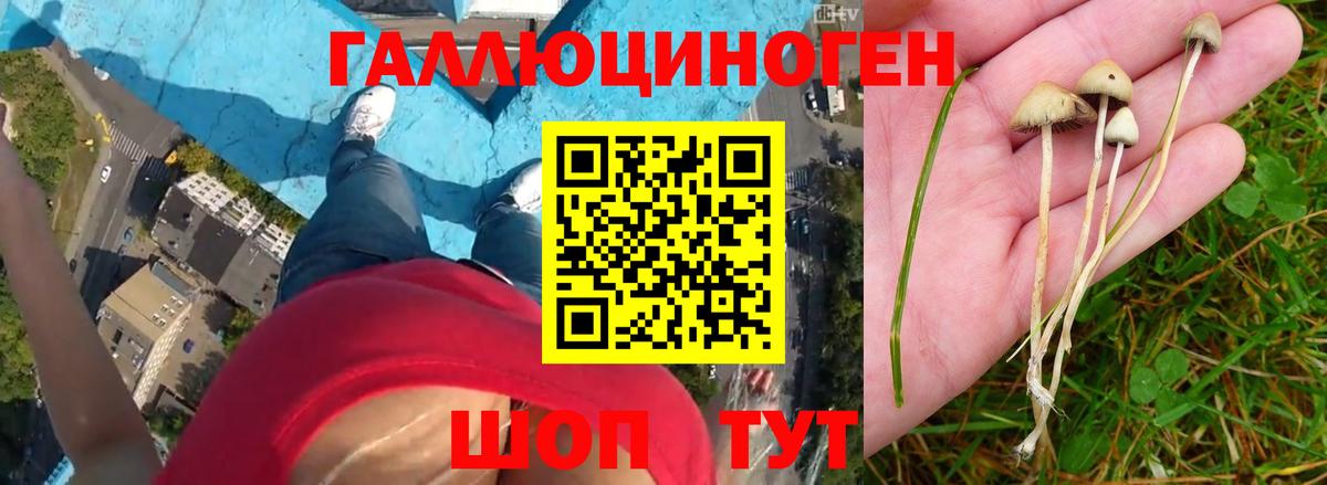 Галлюциногенные грибы MAGIC MUSHROOMS Чебаркуль