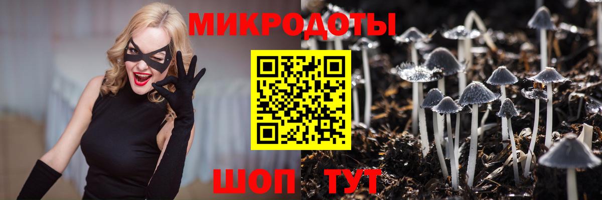 Псилоцибиновые грибы мухоморы  Вход с VPN  Чебаркуль 